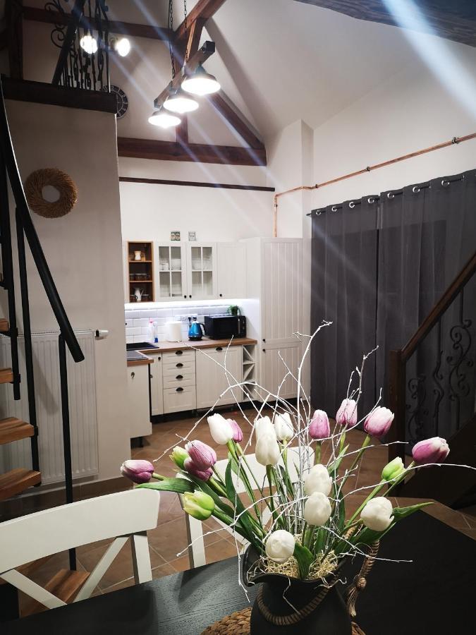 Dráchovský A Vejminek Casa di campagna